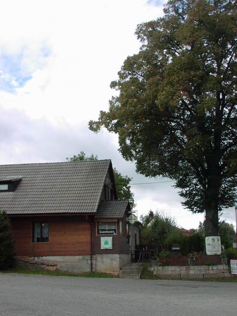 Doln� Brusnice